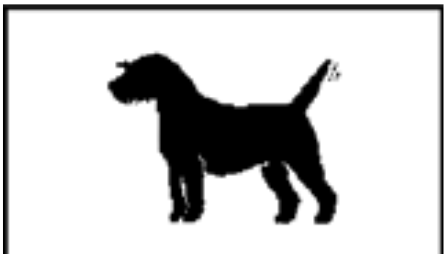 Screenshot_2020-01-31_at_11.58.22.png