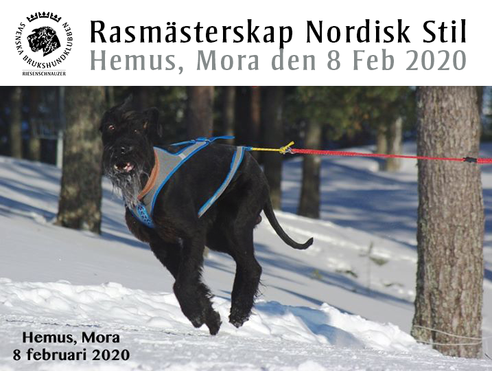 RiesenSM NordStil 2020